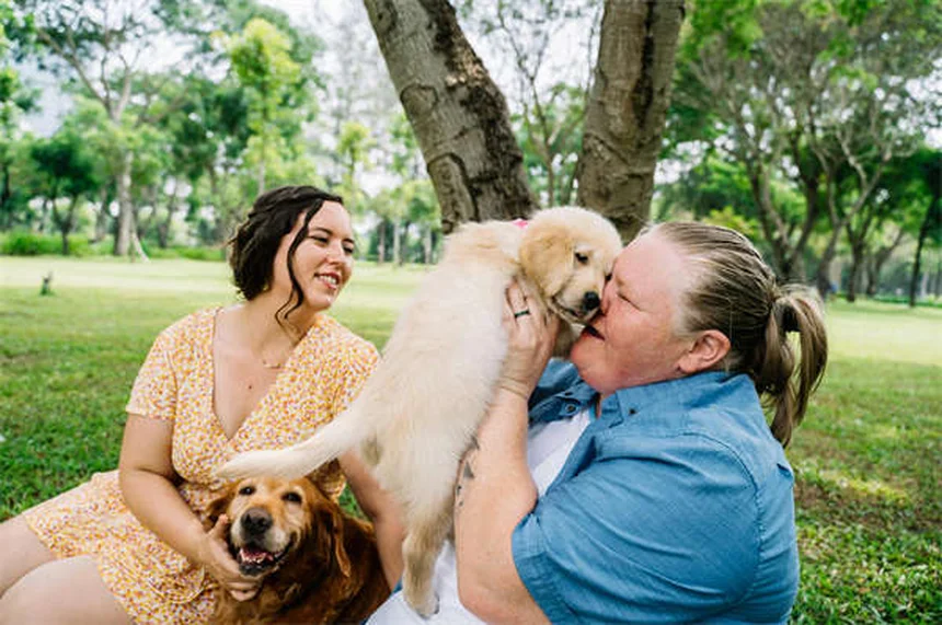 Can Dogs Be Allergic to Cats? 5 Surprising Signs & Solutions